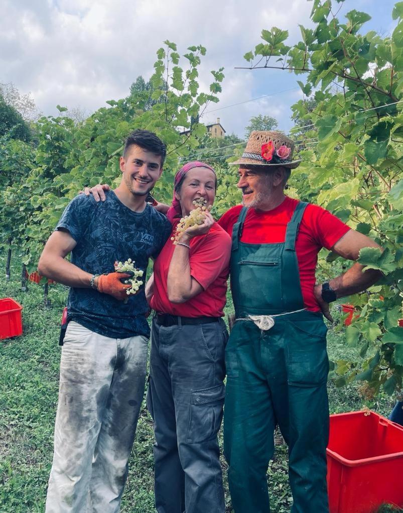 Agriturismo Le Noci Villa Tarzo Buitenkant foto